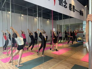 勁爆好消息！胡楊舞蹈周年特惠，僅198元體驗舞蹈魅力！